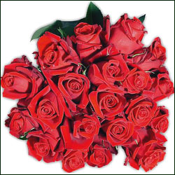 "Cant Take My Eyes Off You (20 Red Roses bunch) - Click here to View more details about this Product
